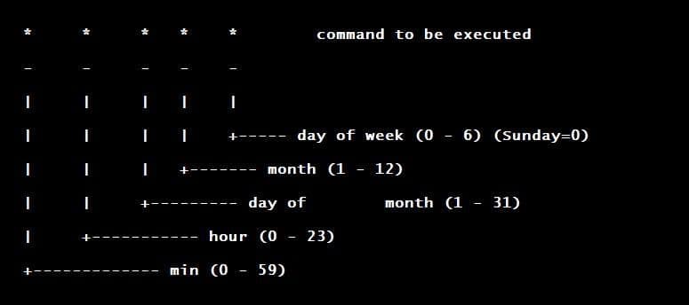 Understanding the Format of Cron Job Schedules